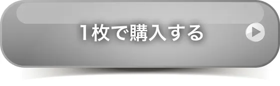 1枚セットを購入する